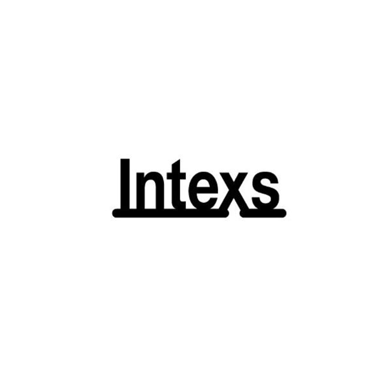 Logo:Intexs Corporation